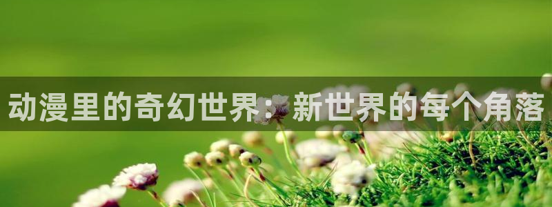 《无颜之月》樱花动漫：动漫里的奇幻世界：新世界的每个角落