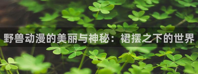 排球少年动漫樱花动漫免费观看：野兽动漫的美丽与神秘：裙摆之下的世界