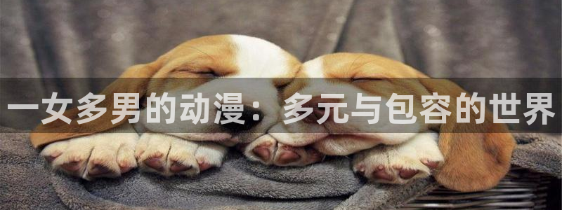 百炼成神樱花动漫：一女多男的动漫：多元与包容的世界